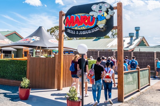 Phillip Island, Penguins, Koalas & Wildlife Tour - From Melbourne - Traveler Tips
