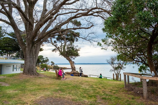 Phillip Island, Penguins, Koalas & Wildlife Tour - From Melbourne - Common Questions