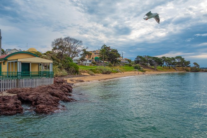 Phillip Island, Penguins, Koalas & Wildlife Tour - From Melbourne - The Sum Up