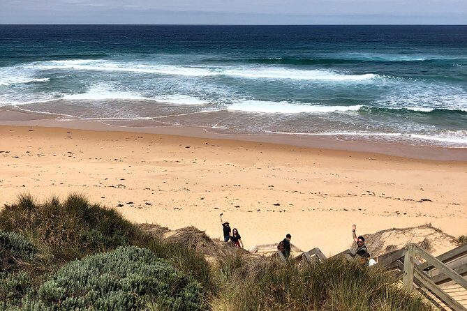 Phillip Island Penguins Private Adventure - An In-Depth Look at the Phillip Island Private Tour