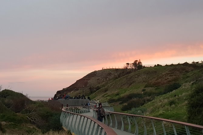 Phillip Island Private Experience - The Sum Up