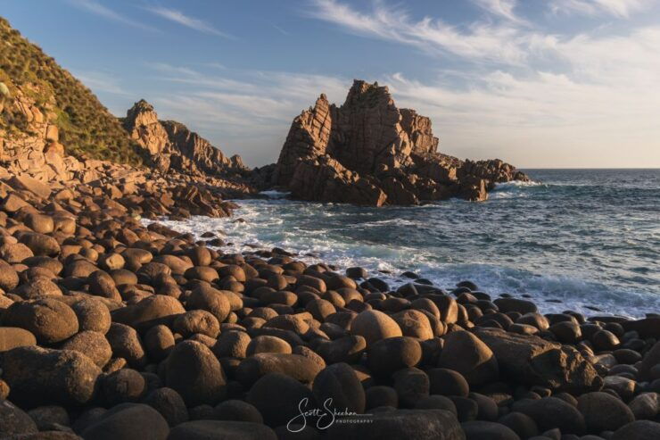 Phillip Island Small Group Afternoon Tour - Booking and Reservation Information