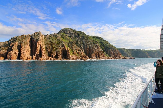 Phillip Island Whale & Dolphin Watching Cruise: San Remo  - Mornington Peninsula - Overview and Experience