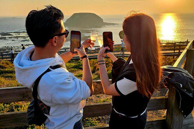 Phillip Island Wildlife Cruise and Penguin Tour from Melbourne - The Wildlife Coast Cruise: Seal and Dolphin Watching