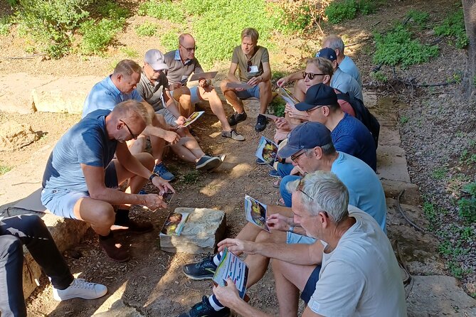 Philosophy Experience at Platos Academy Park - Small Group - Pricing and Booking Details