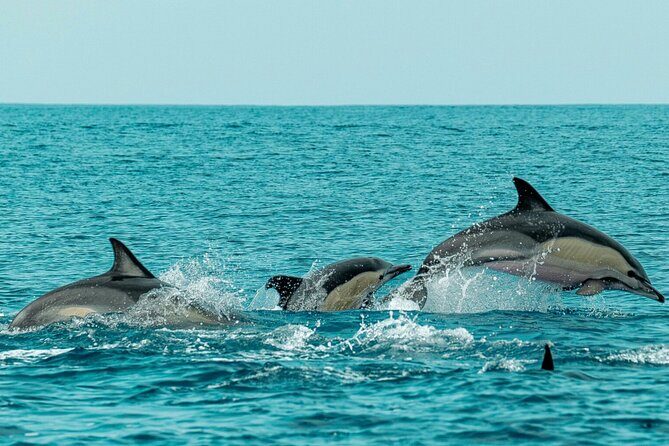 PhiPhi, Maya Bay, Bamboo with Sunset Premium Sea Tour From Phuket - The Sum Up