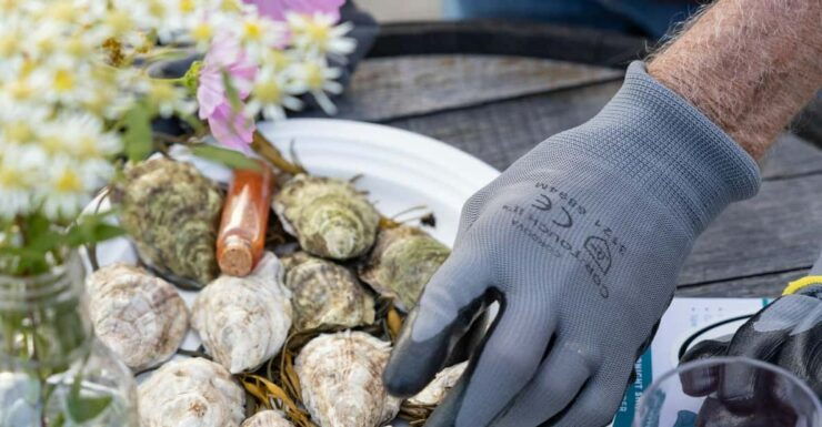 Phippsburg, ME: A Sunset Maine Oyster Tasting by the Coast - Good To Know