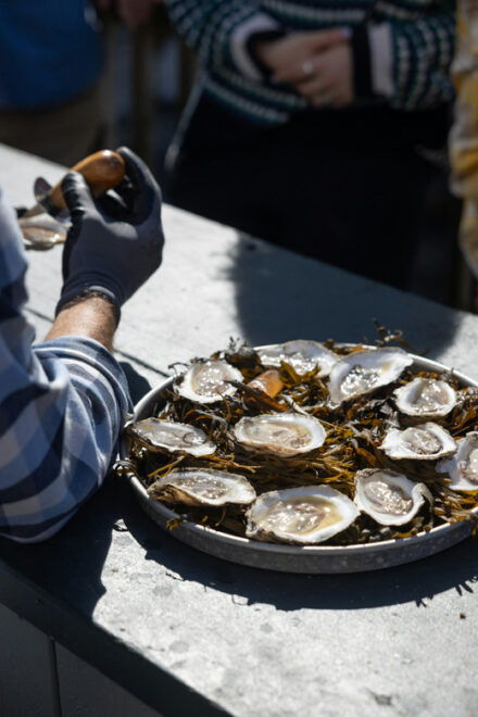 Phippsburg, ME: A Sunset Maine Oyster Tasting by the Coast - Tasting Details