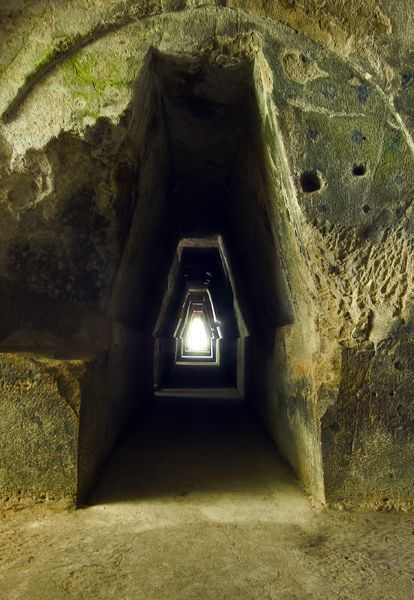 Phlegraean Fields: Cuma Baia and Pozzuoli Private Excursion - Included Services and Exclusions