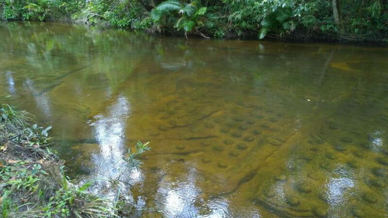 Phnom Kulen National Park Admission Ticket - Who This Tour is Perfect For