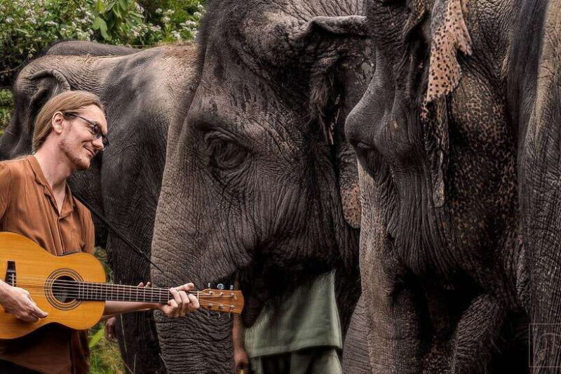 Phnom Kulen Park: Tour with Elephant Forest from Siem Reap - Good To Know