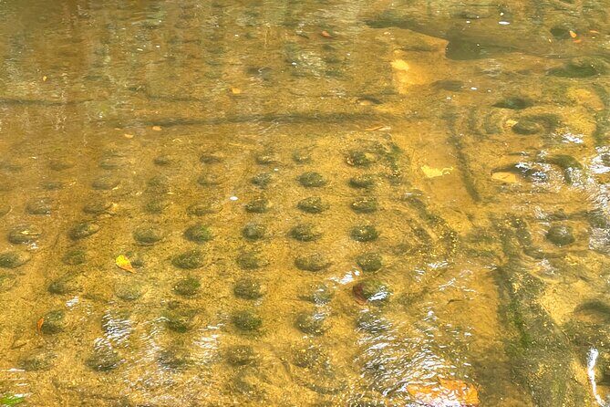 Phnom Kulen Waterfall and Banteay Srei Temple Tour from Siem Reap - Who Will Love This Tour?