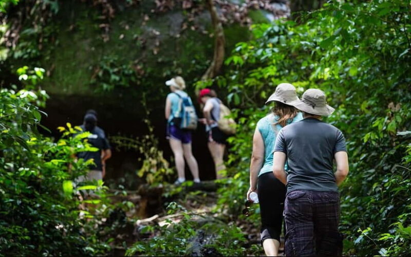 Phnom Kulen Waterfall & the Sacred 1000 Lingas (with Lunch) - Good To Know