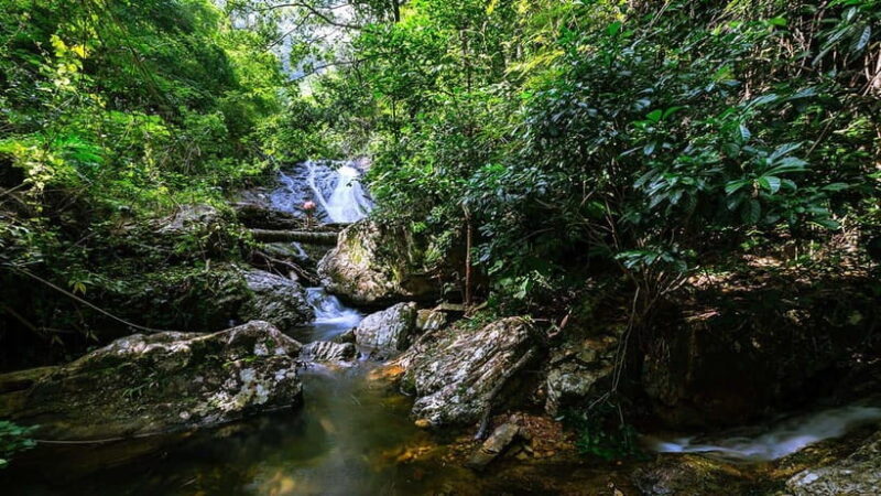 Phnom Penh: 4-Day Trekking&Camping Adventure at Phnom Tompor - What Make This Trek Unique?