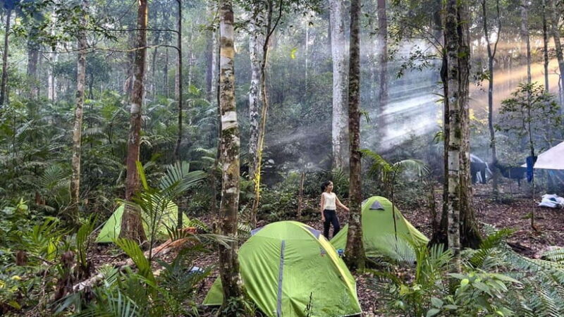 Phnom Penh: 4-Day Trekking&Camping Adventure at Phnom Tompor - Final Thoughts: Is This Tour Worth It?