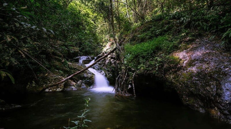 Phnom Penh: 4-Day Trekking&Camping Adventure at Phnom Tompor - The Sum Up  