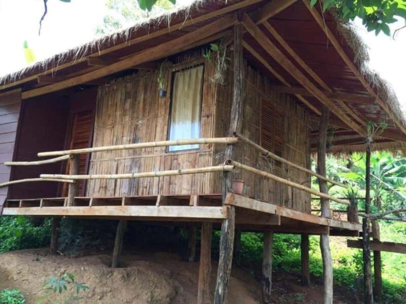 Phnom Penh: Battambang Day Trip with Bamboo Train Ride - Good To Know