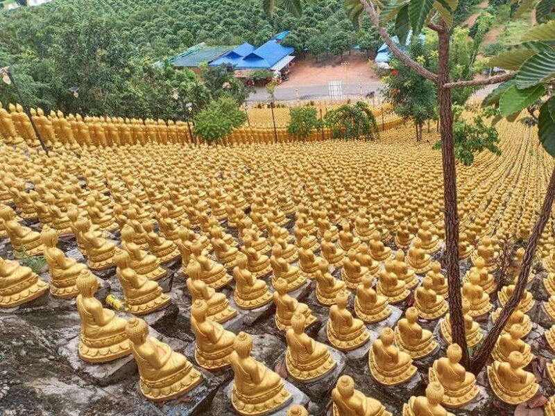 Phnom Penh: Buddha Kiri and Phnom Tamao Zoo Private Day Trip - Why This Tour Offers Great Value