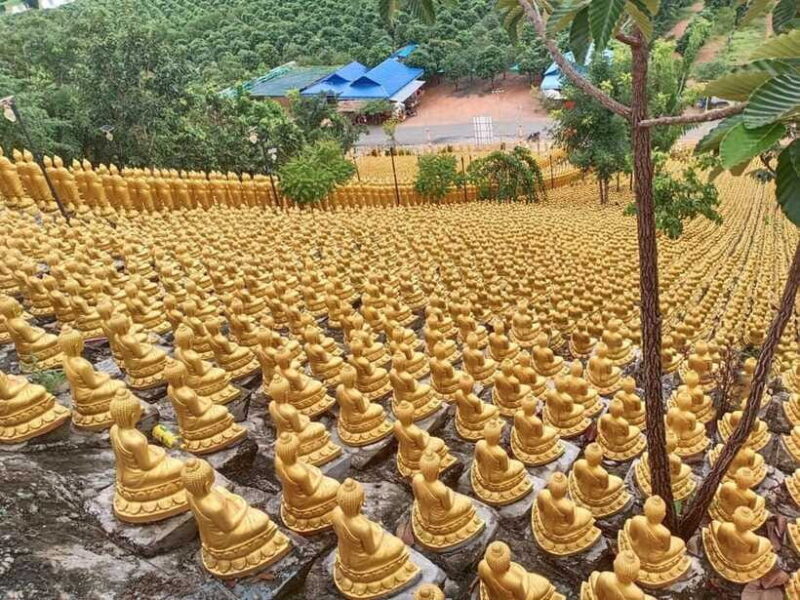 Phnom Penh: Buddha Kiri and Phnom Tamao Zoo Private Day Trip - Final Thoughts