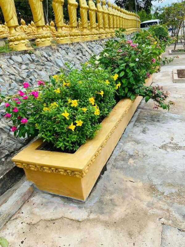 Phnom Penh: Buddha Kiri and Phnom Tamao Zoo Private Day Trip - FAQs