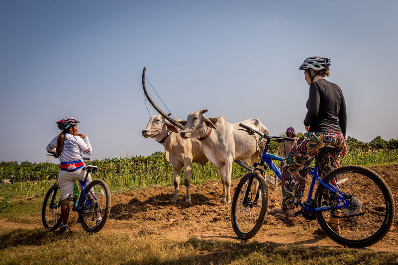 Phnom Penh: Countryside Bike Tour on the Silk Islands - A fresh market and a Buddhist monastery