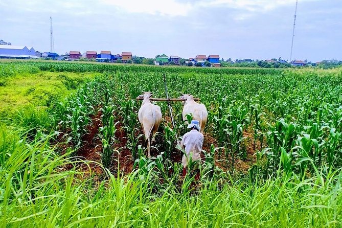 Phnom Penh Countryside Cycle Tour - Tour Details