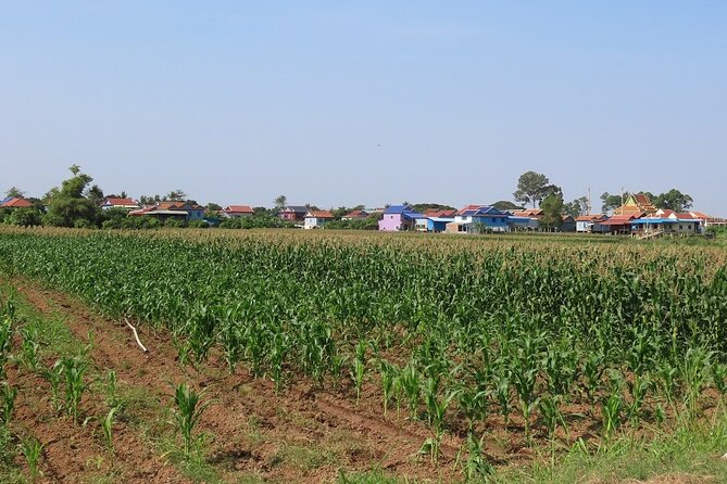 Phnom Penh Countryside Cycle Tour - Traveler Reviews