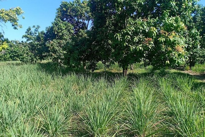Phnom Penh Countryside Cycle Tour - Additional Information