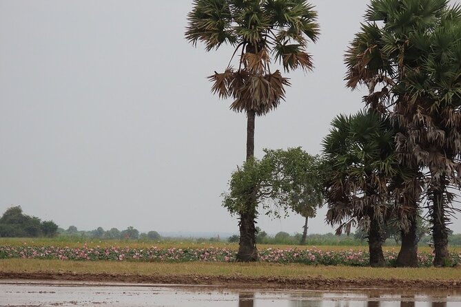 Phnom Penh Countryside Cycle Tour - The Sum Up