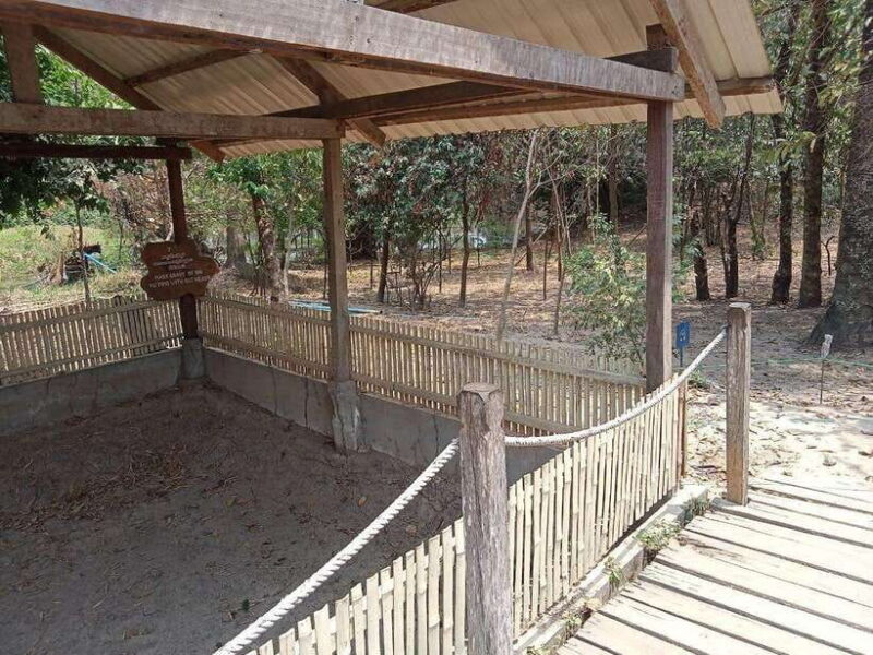 Phnom Penh: Full-Day City Tour with Royal Palace & Killing - Final Words