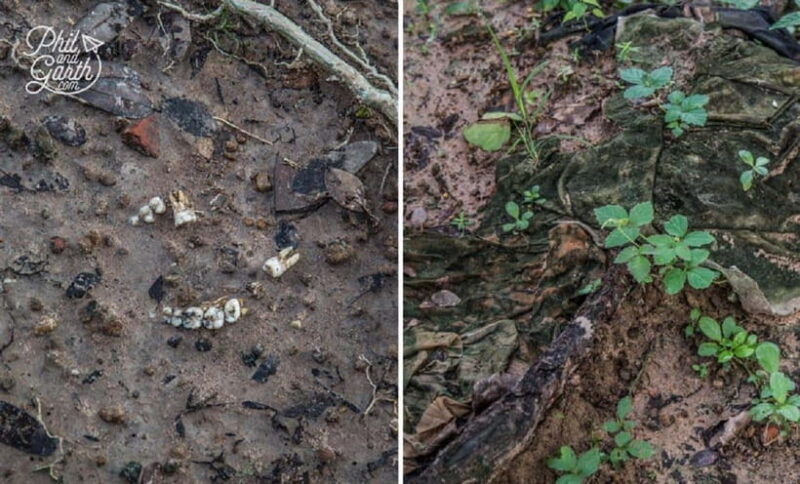 Phnom Penh: Killing Fields and S-21 Museum Tour - The Sum Up: The Value of Remembering