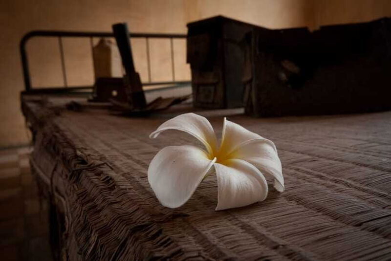 Phnom Penh private tour Tuol Sleng & Choeng Ek Killing Field - Final Thoughts: Who Is This Tour Best For?