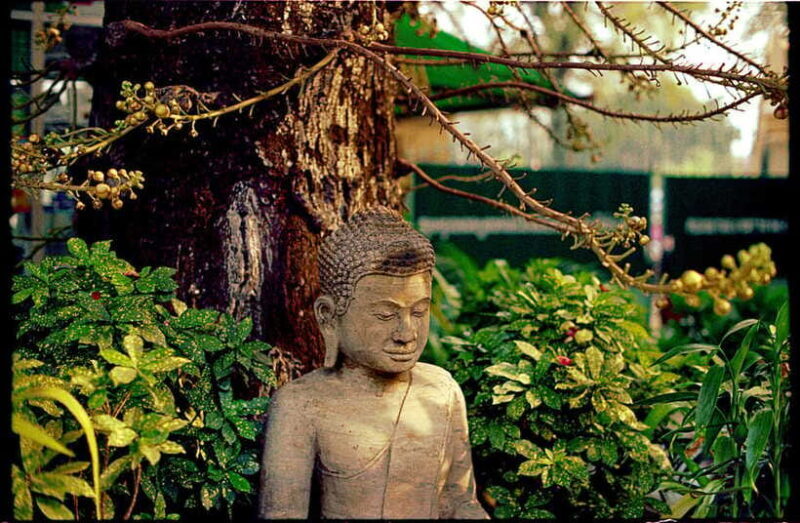 Phnom Penh: Private Walking Tour with a Local - Final Thoughts: Is This Tour Right for You?