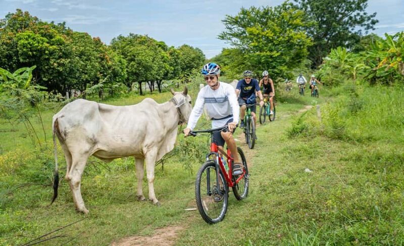 Phnom Penh Silk Island Sunset Bike Tour / E-Bike or Tuk Tuk - Final Words