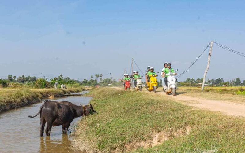 Phnom Penh: Silk Island Tour by Vespa - Practical Tips for Making the Most of It