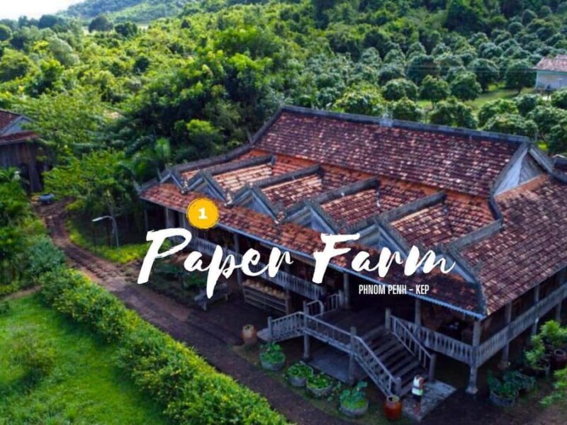 Phnom Penh to Kep Day Trip Scenic Train & Coastal Discovery - Good To Know