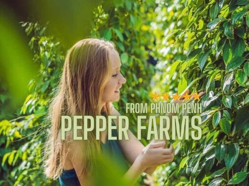 Phnom Penh to Kep Day Trip Scenic Train & Coastal Discovery - Authentic Review Highlights