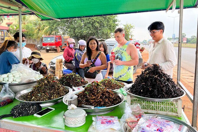 Phnom Penh to Siem Reap Private Car Transfer - The Practicalities of the Private Transfer