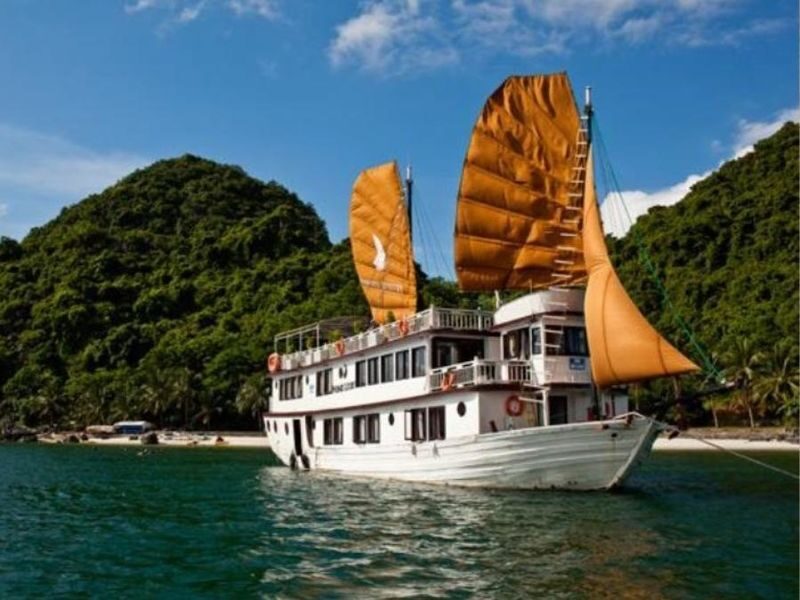 Phoenix 3D2N Cruise: Ha Long Bay with Sung Sot & Ti Top - The useful points at a glance