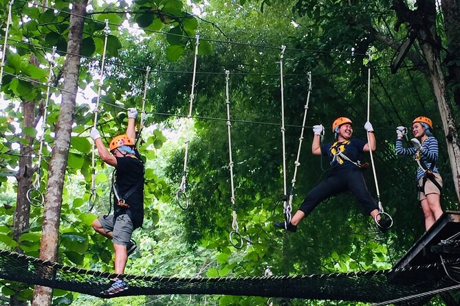 Phoenix Adventure Park Zipline, High Rope Course In Chiang Mai - The Sum Up