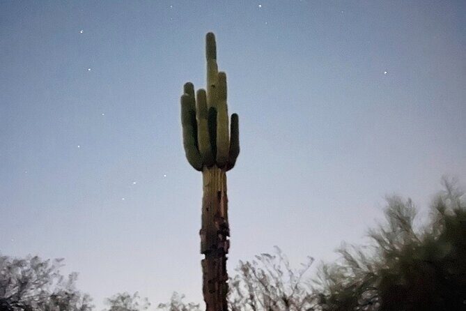 Phoenix Mountains Preserve Night Glow Hike - Introduction: A Unique Nighttime Desert Experience