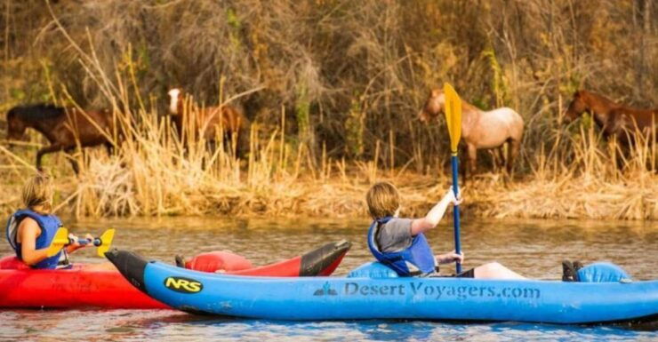 Phoenix & Scottsdale: Lower Salt River Kayaking Tour - Tour Details