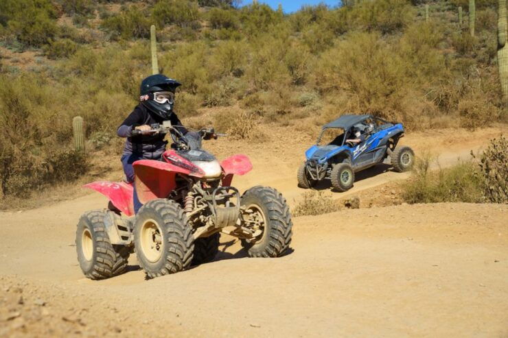 Phoenix: Self-Drive ATV/UTV Rental in the Sonoran Desert - Full Description