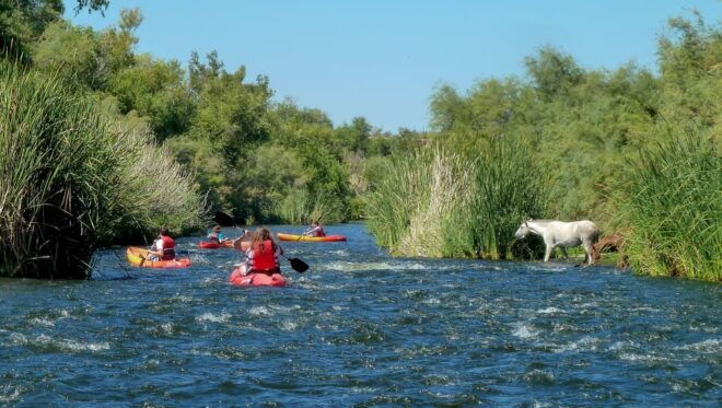 Phoenix: Self-Guided Kayaking Trip to Foxtail - Kayaking Experience Highlights