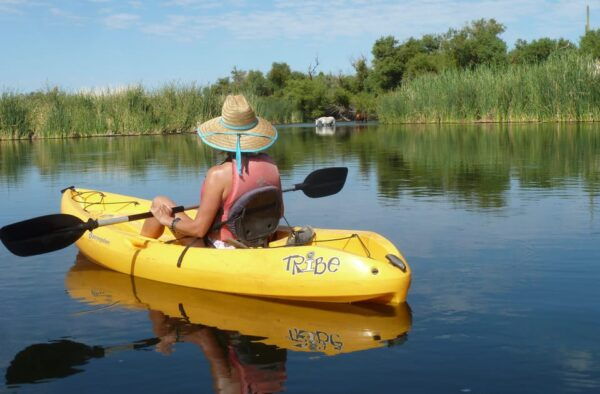 Phoenix: Self-Guided Kayaking Trip to Foxtail - What to Bring