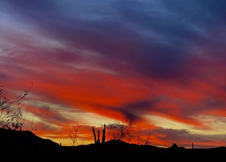 Phoenix: Sonoran Desert Guided Hiking Adventure - Hiking Trail and Scenic Views