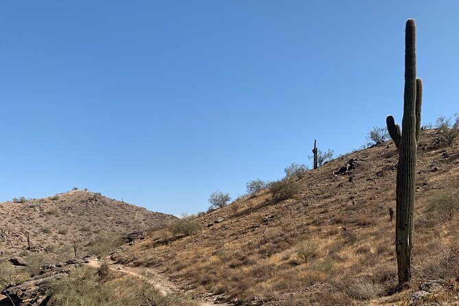 Phoenix South Mountain Hiking Tour Experience - Introduction