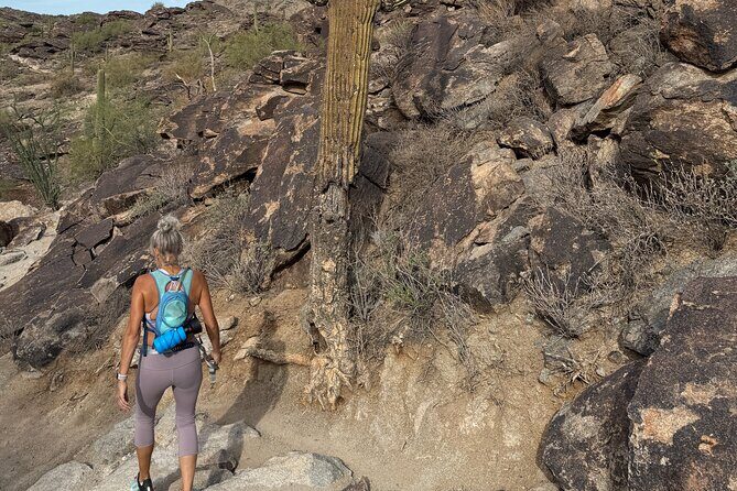 Phoenix South Mountain Hiking Tour Experience - Exploring South Mountain: What You Can Expect