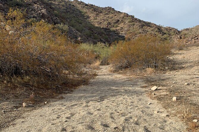 Phoenix South Mountain Hiking Tour Experience - The Value and Booking Considerations