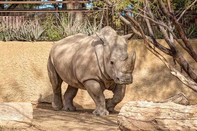 Phoenix Zoo Admission Ticket - Overview